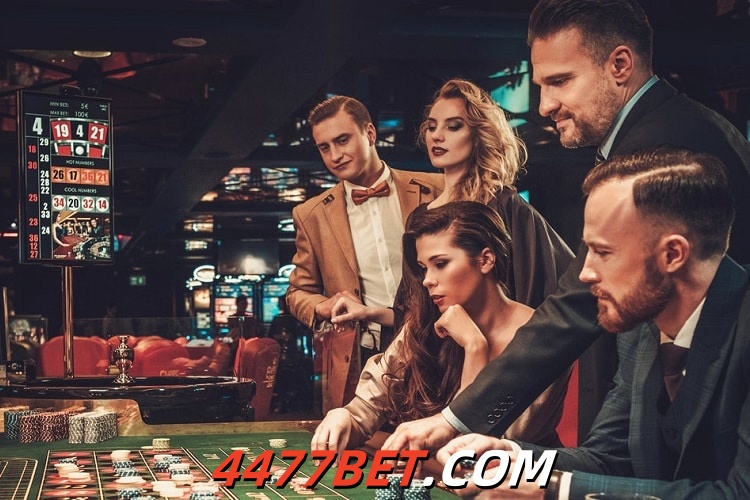  4477bet